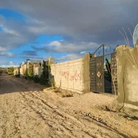 باغ ویلا، ماریان پردیس