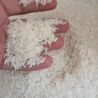 شالی فجر سوزنی
