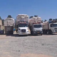 ارسال کاه گندم دیم