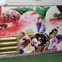 یخچال بستنی و مرغ و گوشت و ماهی