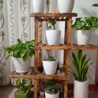 استند گل سالم تمیز