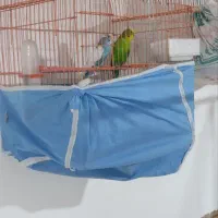 جفت مرغ عشق