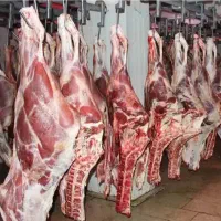 گوشت ارزان در قصابی آرین فقط برای امروز
