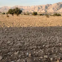 زمین خونه باغ پشت کانال قالند