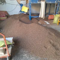 +(بازگشت سرمایه بیشتر با خوراک ما+)