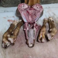 گوسفند زنده همراه با قصاب|حیوانات مزرعه|تهران, نارمک|دیوار