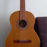 گیتار m5همراه کیف و کاپو