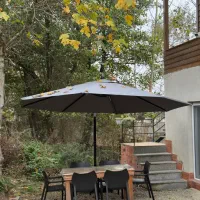 اجاره اقامتگاه جنگلی نوساز|اجارهٔ کوتاهمدت ویلا و باغ|ماسال, |دیوار