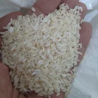 برنج عنبربو دانه بلند