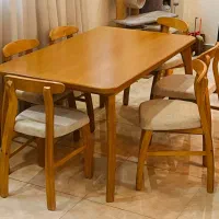 تولید ناهارخوری خرچنگی بادوام