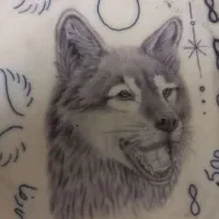 آموزش تتو بدن فقط بانوان|خدمات آموزشی|رشت, کوی قدس|دیوار