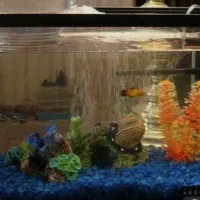 آکواریوم شیشه ای