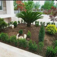 خدمات باغبانی از صفر تا صد در تمام نقاط تهران۰