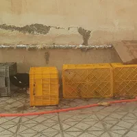 اردک|حیوانات مزرعه|قوچان, |دیوار