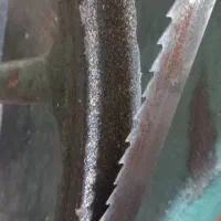 اره فلکه|ماشین‌آلات صنعتی|گهواره, |دیوار