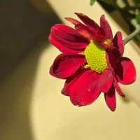 نظافت راه پله پارکینگ انباری انجام میشود