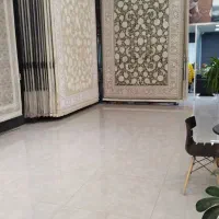 فرش ایران ماننده المالس میدرخشد|فرش|اهواز, زندوکیلی|دیوار
