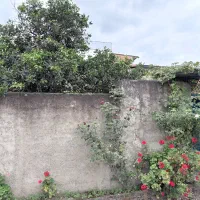 خانه حیاط دار ویلایی
