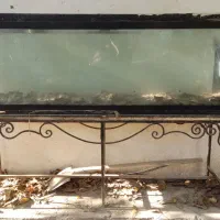 آکواریوم بزرگ|ماهی|شاندیز, |دیوار