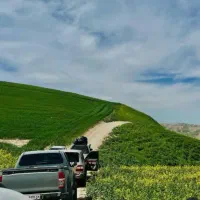 استخدام خانوم جهت پذیرایی در تورهای تفریحی شمال|استخدام خدمات فروشگاه و رستوران|تهران, پرستار|دیوار