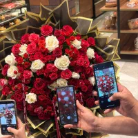 استخدام وکارآموزی