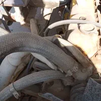 جیپ شهبازمدل58پلاک ملی فنی سالم|خودرو سواری و وانت|تهران, امام زاده عبدالله|دیوار