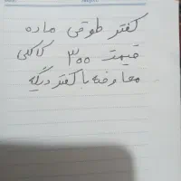 کفش طرح کبوتر