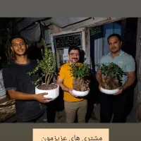 برای هدیه/گل وگیاهتونو گرون نخرید/ازما قیمت بگیرید|گل و گیاه طبیعی|اصفهان, ملک‌شهر|دیوار