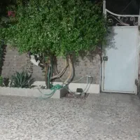 خانه زینبیه
