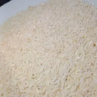 برنج صدری و هاشمی درجه 1 مستقیم از کارخانه