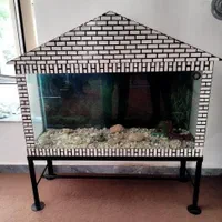 آکواریوم|ماهی|صوفیان, |دیوار