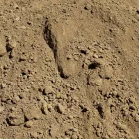 شن ماسه مخلوط سنگ پی خاک باغچه ماسه بادی همه معادن|خدمات حمل و نقل|شیراز, دوکوهک|دیوار