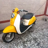 پاکشتی اسکوپی