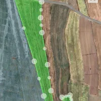 فروش ۲۴ هزار متر زمین کشاورزی دیم