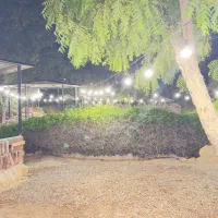 ریسه (ریسه نور)