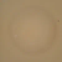 09151301305
