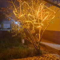 اجاره خونه باغ تولد ،عقد،نامزدی|اجارهٔ کوتاه‌مدت ویلا و باغ|بهبهان, |دیوار