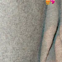 موکت در حد نو