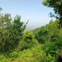 زمین۲۷۵متری،مسکونی تودارک تنکابن،باویو جنگل و دریا