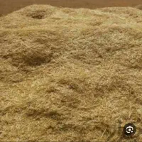 کاه لوبیا قرمز