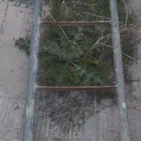 فروش نردبان