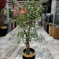 درختچه مصنوعی زیتـون|گل مصنوعی|تهران, شوش (باغ آذری)|دیوار