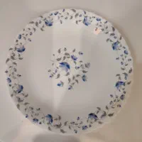 ظروف آرکوپال