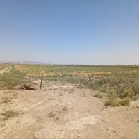 زمین‌ گلخانه ای اماده احداث در شهرستان جعفریه|فروش دفتر صنعتی، کشاورزی، تجاری|قم, دانش|دیوار
