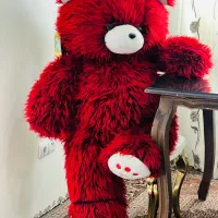 خرس روز زن و دختر و ولنتاین