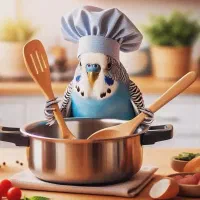 سرآشپز و مربی غذای ایرانی گیلانی هستم