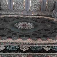 قالی|فرش|عنبرآباد, |دیوار