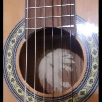 گیتار|گیتار، بیس، امپلیفایر|رودهن, |دیوار