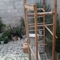 قفس پرنده بزرگ سالم فروش فوری|لوازم جانبی حیوانات|بابل, |دیوار