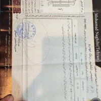 206SD V8مدل 94 بدون رنگ شاستی سالم|خودرو سواری و وانت|مشهد, شهرک لشکر (شهرک غرب)|دیوار